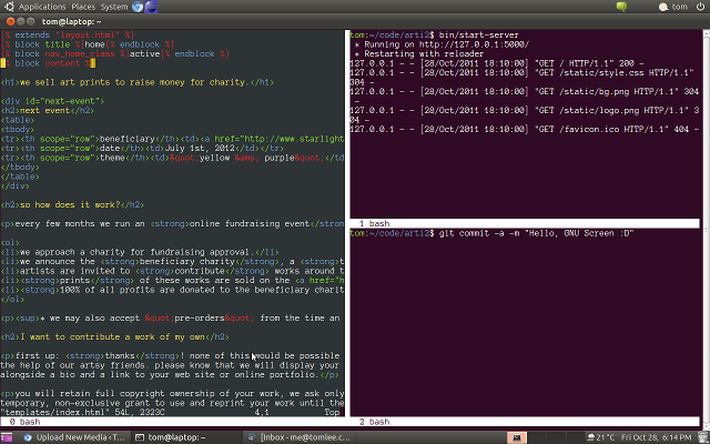 GNU Screen showing a window with a vertical and a horizontal split